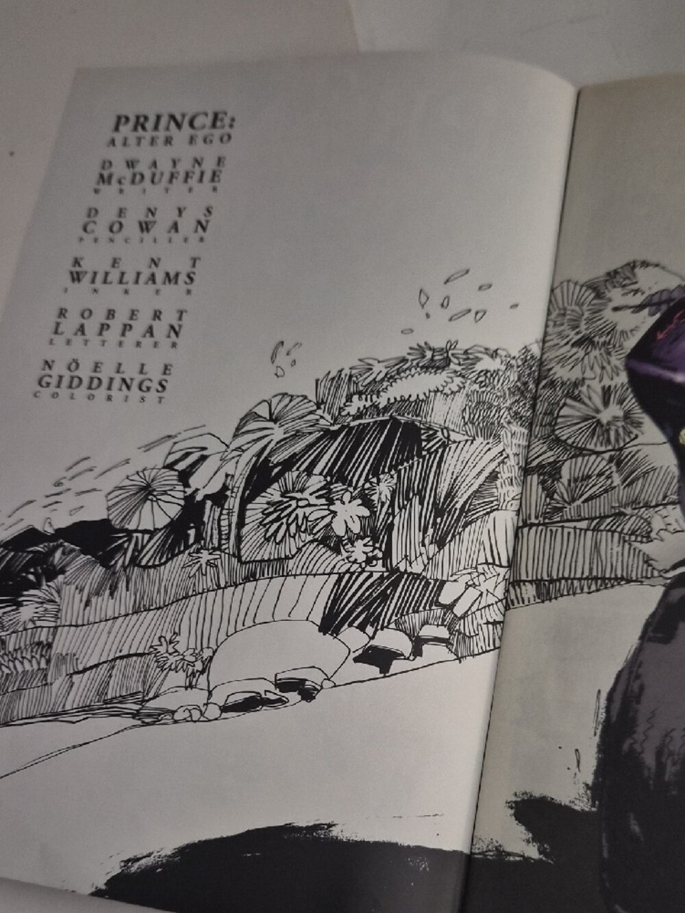 PRINCE - Picture 3 of 8